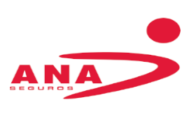 Ana Seguros